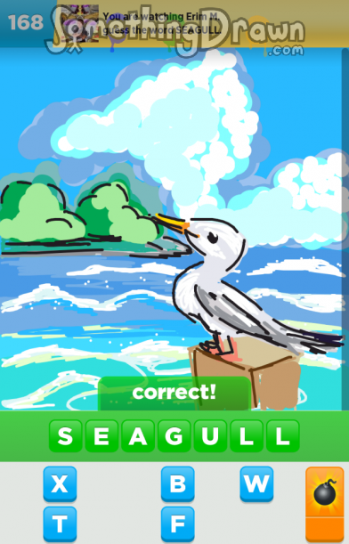 seagull