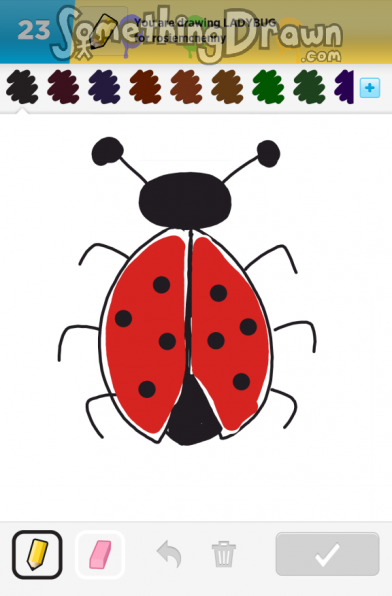 ladybug