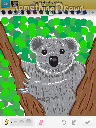 koala