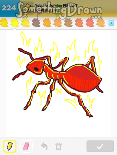 fireant