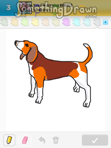 beagle