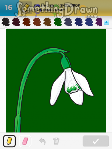 snowdrop