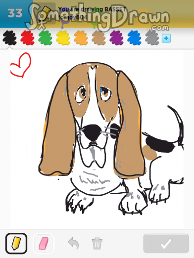 basset