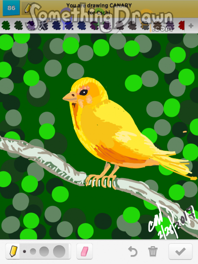 canary