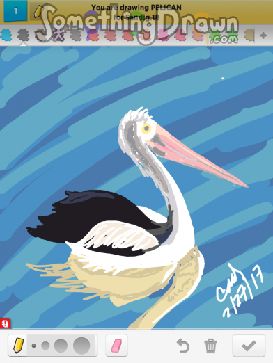 pelican