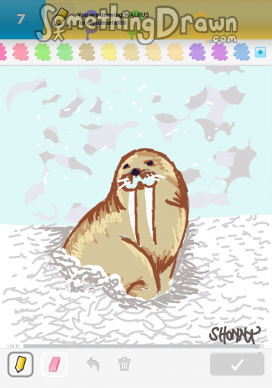 walrus