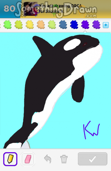 orca