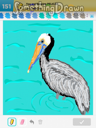 pelican