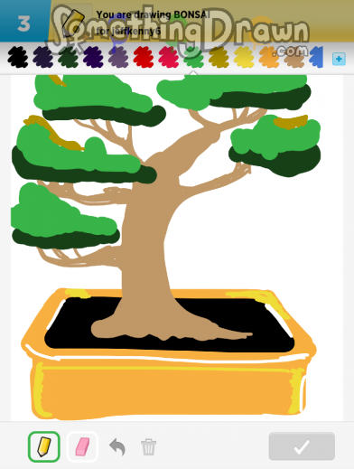 bonsai