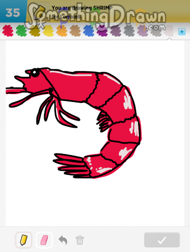 shrimp