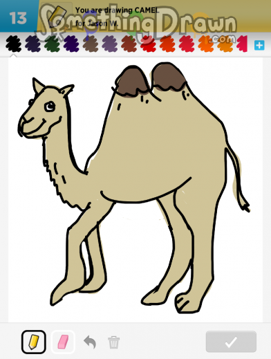 camel