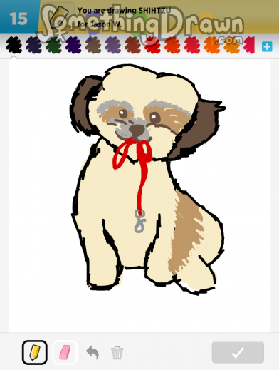 shihtzu