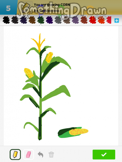 corn