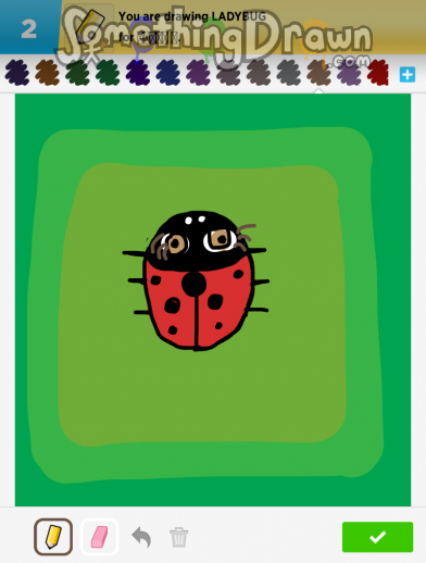 ladybug