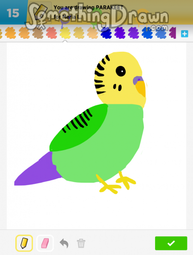 parakeet