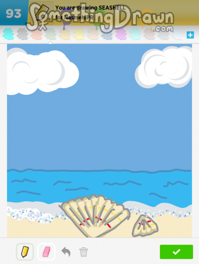 seashell