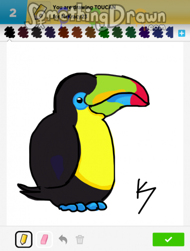 toucan