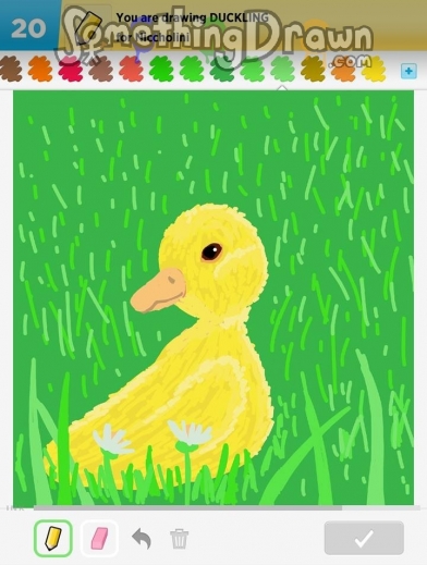 duckling