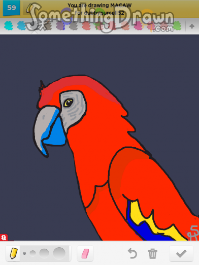 macaw