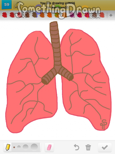 lungs