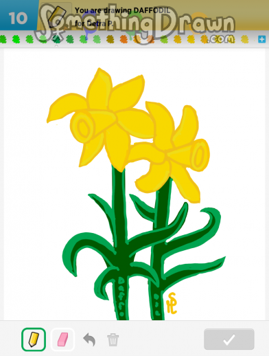 daffodil