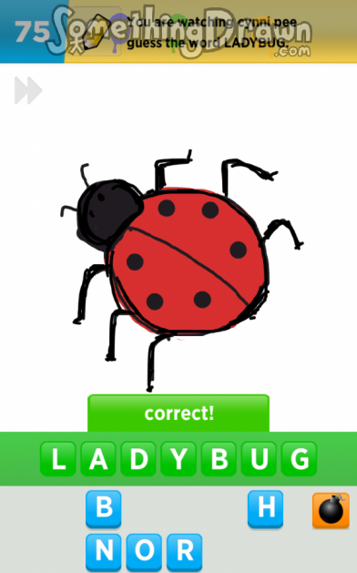 ladybug