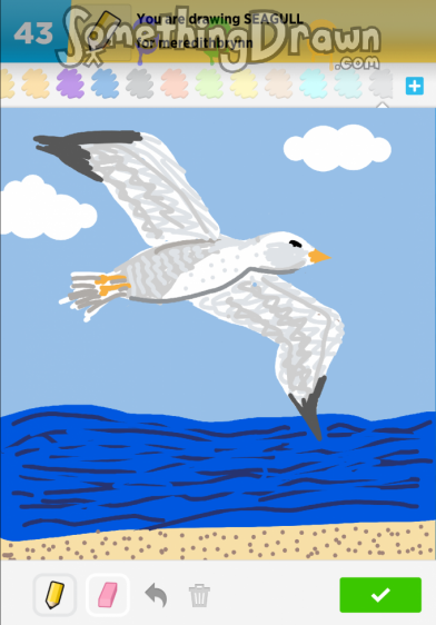 seagull