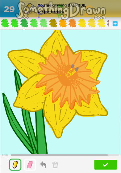 daffodil