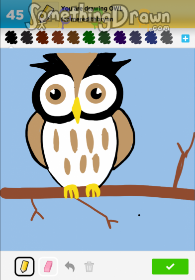 owl