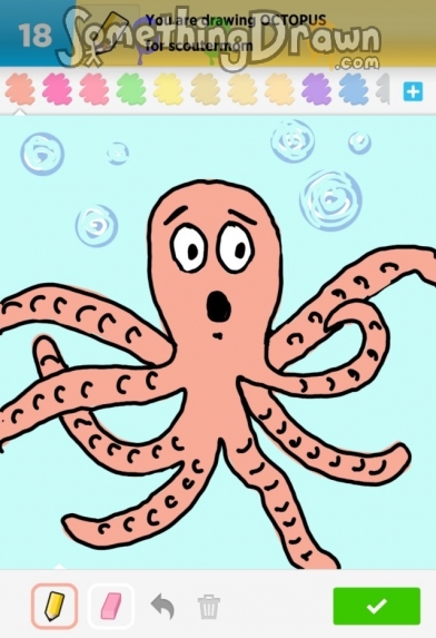 octopus