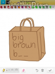 bag