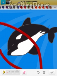 shamu