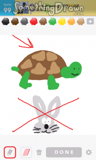 tortoise