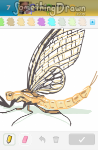 mayfly