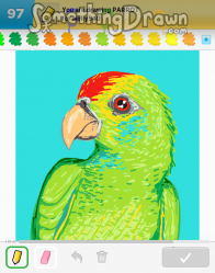 parrot