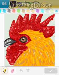 rooster