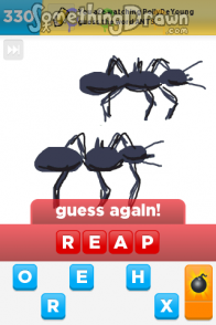 Ants