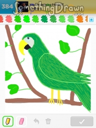 parrot