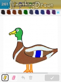 duck