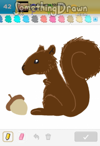 squirrel