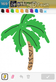 Palm