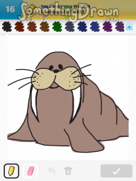 Walrus