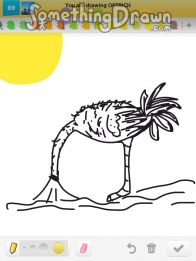 ostrich