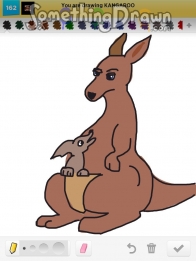 kangaroo