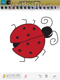 ladybug