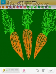 carrot