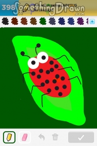 ladybug