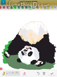 panda