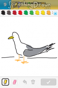 seagull