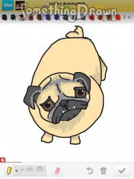 pug